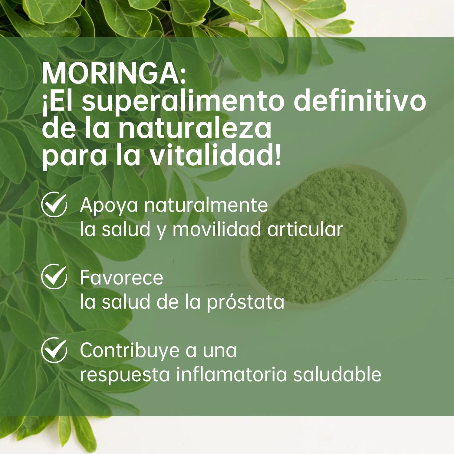 Vivonu Spicy Wood Tea Powder, 2 Lbs, Rich in Antioxidants and Immunovitamins