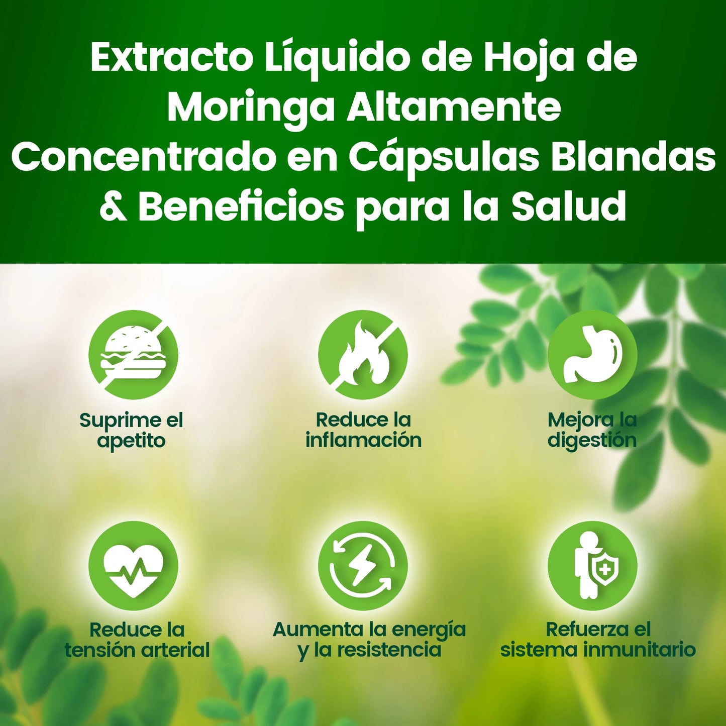 Vivonu Moringa Capsules - Pure Moringa Powder Superfood for Metabolism, Energy, Skin Health, Immunity