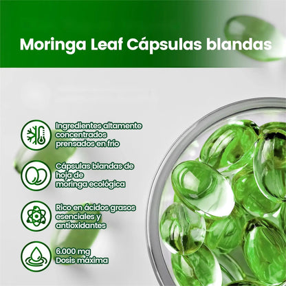 Vivonu Moringa Capsules - Pure Moringa Powder Superfood for Metabolism, Energy, Skin Health, Immunity